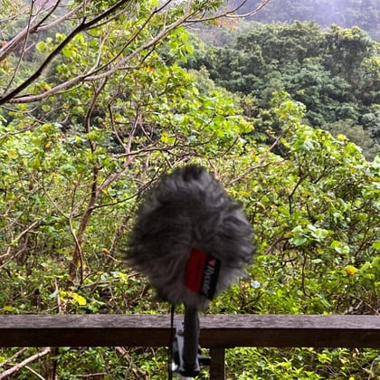 Cover of 雨 - 久米島・白瀬川 07:49am