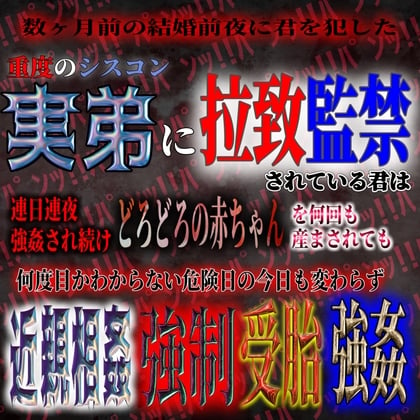 Cover of 君を犯した重度のシスコン実弟に拉致監禁近親相姦強制受胎強姦