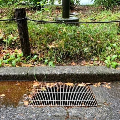 Cover of 雨傘と雨水溝