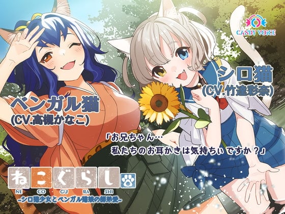 Cover of 【耳かき・吐息】ねこぐらし。3〜シロ猫少女とベンガル猫娘の師弟愛〜【CV:竹達彩奈、高槻かなこ 】