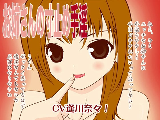 Cover of お姉さんの寸止め手淫